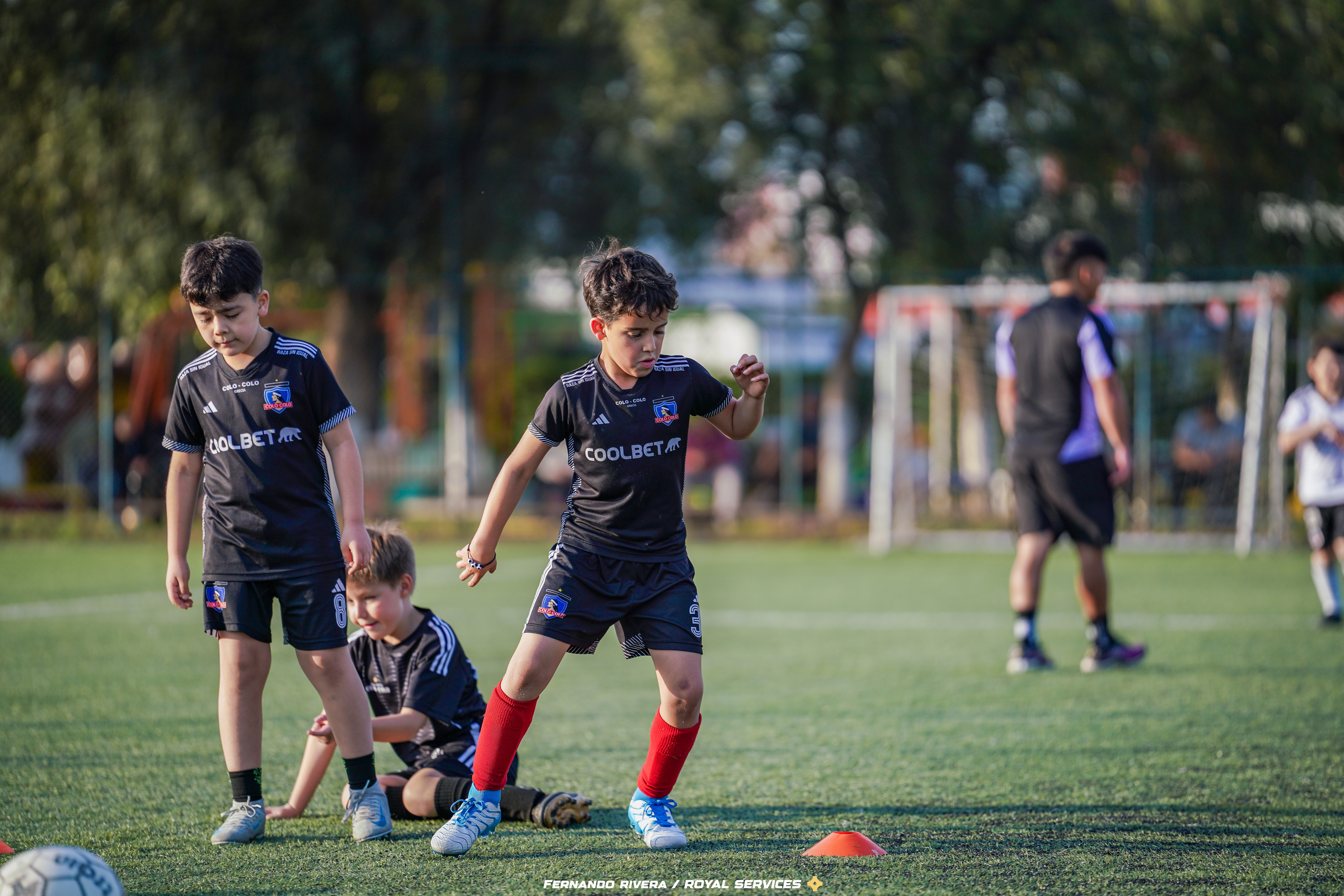 Cancha de la escuela El Bosque
